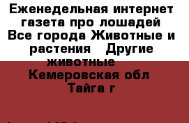 Еженедельная интернет - газета про лошадей - Все города Животные и растения » Другие животные   . Кемеровская обл.,Тайга г.